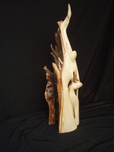 Sculpture intitulée "EFFILEE" par Gérard Didier, Œuvre d'art originale, Bois