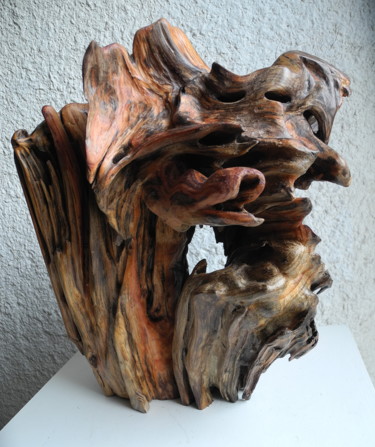 Sculpture intitulée "APRES LES XYLOPHAGE…" par Gérard Didier, Œuvre d'art originale, Bois