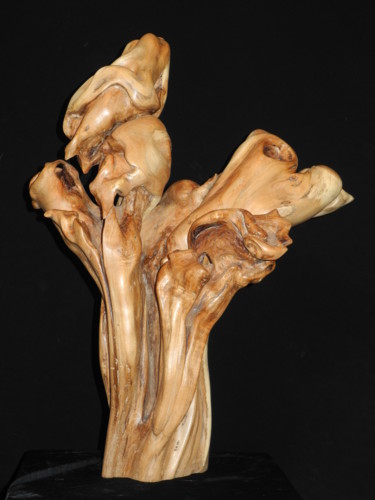 Sculpture titled "Gerbe" by Gérard Didier, Original Artwork, Wood