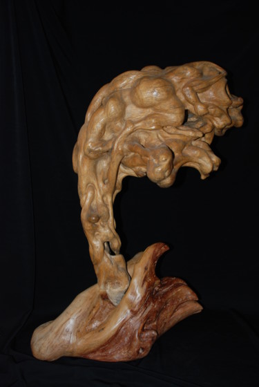 Skulptur mit dem Titel "FRAGILE ?" von Gérard Didier, Original-Kunstwerk, Holz