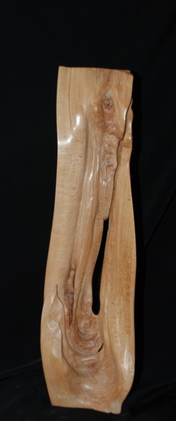 Sculpture titled "PENSIVITE" by Gérard Didier, Original Artwork, Wood