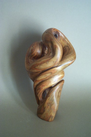 Sculpture titled "ENTRELACS 1" by Gérard Didier, Original Artwork, Wood