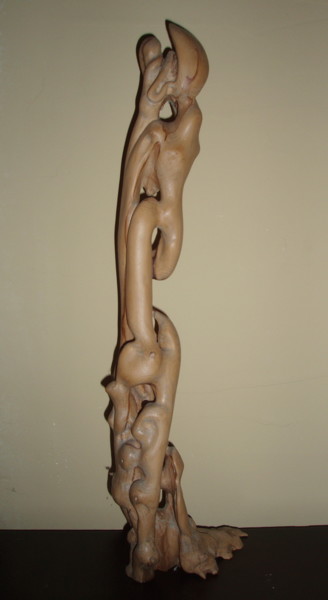 Sculpture intitulée "ELEVATION" par Gérard Didier, Œuvre d'art originale, Bois
