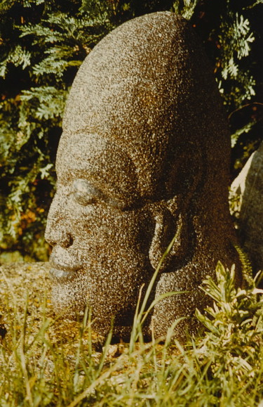 Sculpture titled "TETE" by Gérard Didier, Original Artwork, Stone
