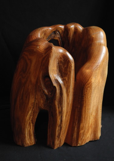 Sculpture titled "AUTOUR DU VIDE 1" by Gérard Didier, Original Artwork, Wood