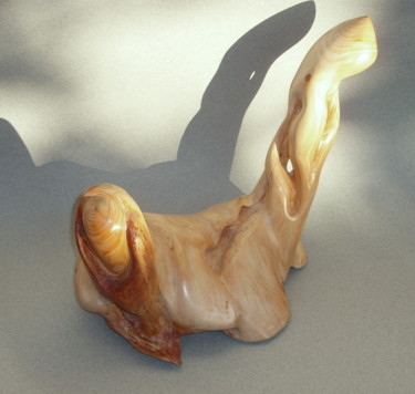 Escultura titulada "DOUN 40" por Gérard Didier, Obra de arte original, Madera