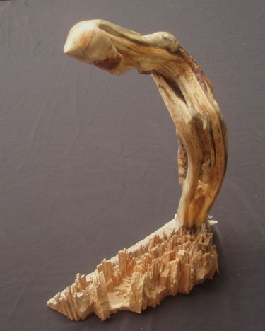 Sculpture titled "BORIS" by Gérard Didier, Original Artwork, Wood