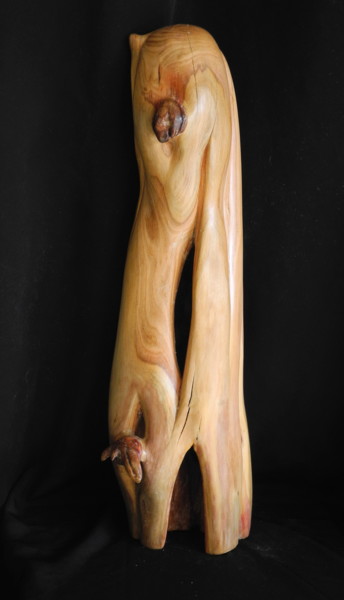 Sculpture titled "ANTRE" by Gérard Didier, Original Artwork, Wood