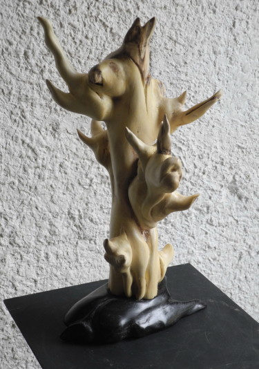 Sculpture titled "ACACIA 1" by Gérard Didier, Original Artwork, Wood