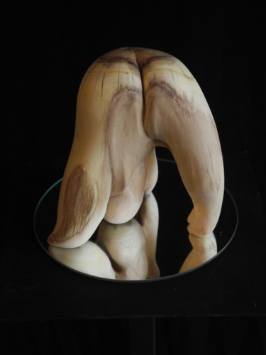 Sculpture titled "ACACIA 3" by Gérard Didier, Original Artwork, Wood