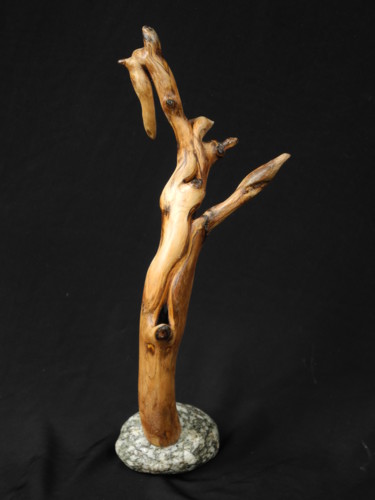 Sculpture intitulée "CYTISE 3" par Gérard Didier, Œuvre d'art originale, Bois