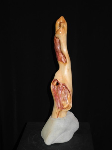 Sculpture intitulée "PRUNUS SPINOSA" par Gérard Didier, Œuvre d'art originale, Bois