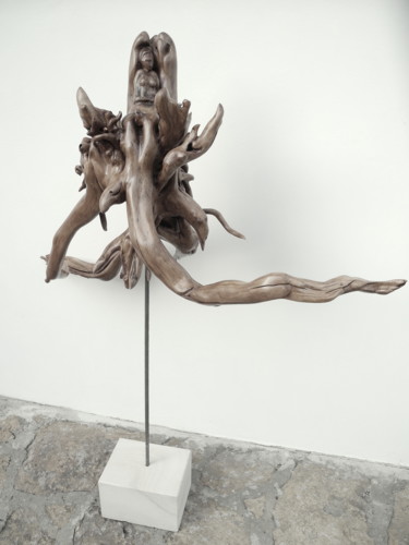 Sculpture titled "EXPANSION" by Gérard Didier, Original Artwork, Wood