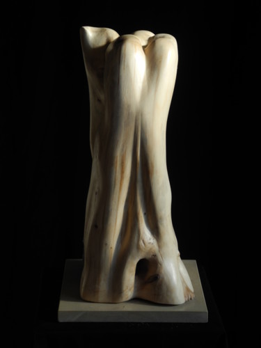 Sculpture titled "AULNE" by Gérard Didier, Original Artwork, Wood