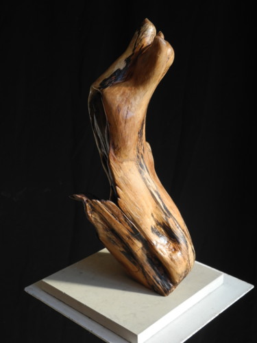 Sculpture titled "COEUR IRRADIE" by Gérard Didier, Original Artwork, Wood