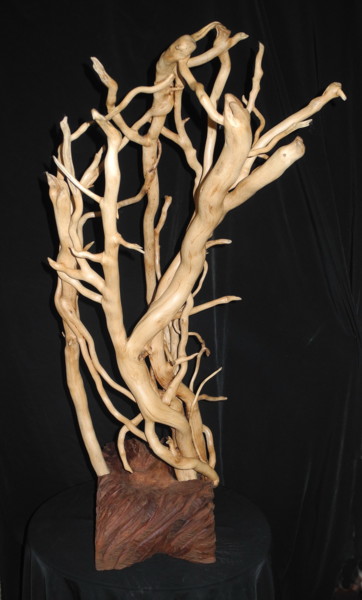Skulptur mit dem Titel "LIENS 5" von Gérard Didier, Original-Kunstwerk, Holz