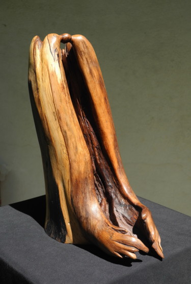 Sculpture titled "Sorbier" by Gérard Didier, Original Artwork, Wood