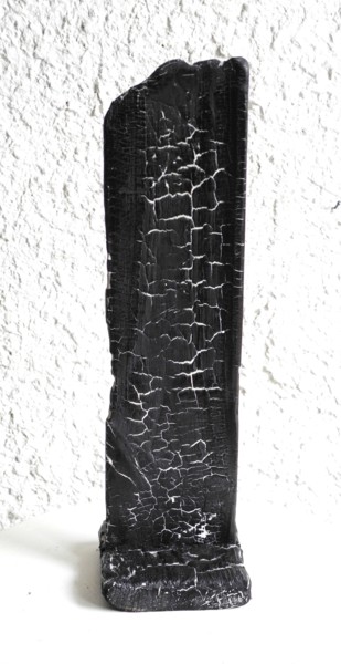 BB44 9x33x10 cm ©2016 par Gérard DIDIER