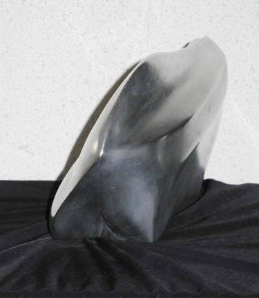 Скульптура под названием "DOUCEUR 2" - Gérard Didier, Подлинное произведение искусства, Металлы