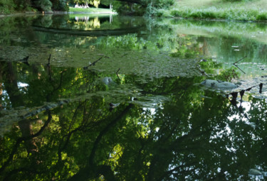 Photography titled "Reflets" by Gérard Joël Sultan, Original Artwork