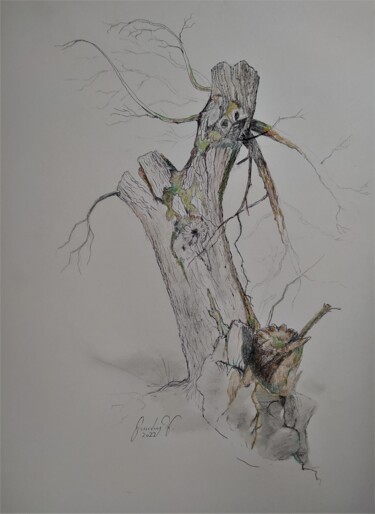 Desenho intitulada "Oak in the mountain…" por Karl-Werner Gerstner, Obras de arte originais, Têmpera