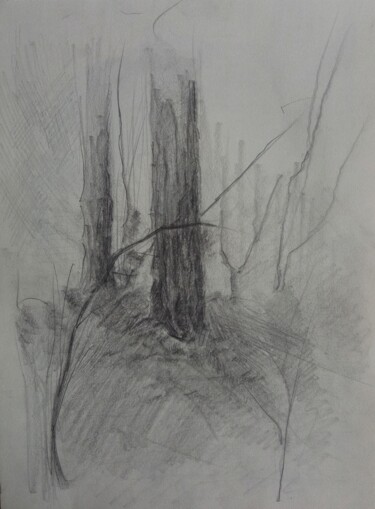 Disegno intitolato ""L'arbre silencieux"" da Gevorg Koninyan, Opera d'arte originale, Matita