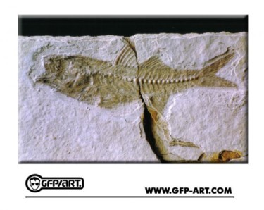 Fotografia intitolato "Fossil Nature N.1" da Gianfranco Pulitano, Opera d'arte originale