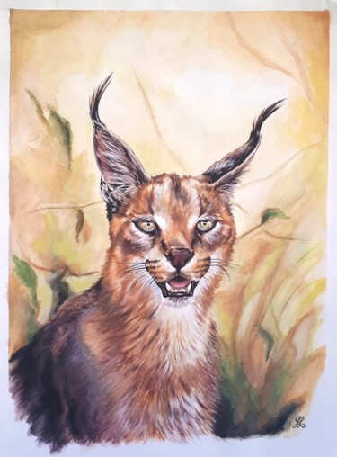 Painting titled "Caracal - Sous la c…" by Ghislaine Letourneur, Original Artwork, Gouache Mounted on Cardboard