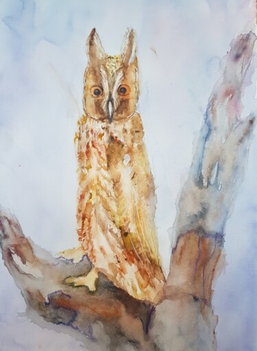 Painting titled "Grand Duc" by Ghislaine Rimmen-Mohl, Original Artwork, Watercolor