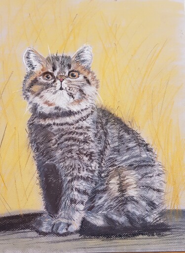 Drawing titled "Chat assis" by Ghislaine Rimmen-Mohl, Original Artwork, Pastel