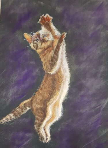 Dessin intitulée "le chat qui saute" par Ghislaine Rimmen-Mohl, Œuvre d'art originale, Pastel