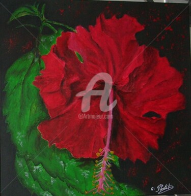 Peinture intitulée "l'ibiscus rouge" par Ghislaine Phelut-Sanchez, Œuvre d'art originale