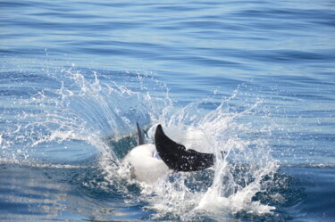 Photography titled "Splash dauphinois" by Ghylaine De Laguarigue, Original Artwork, Non Manipulated Photography