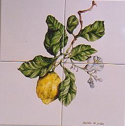 Peinture intitulée "citrons renaissance" par Ghyslaine De Sevlian, Œuvre d'art originale, Huile