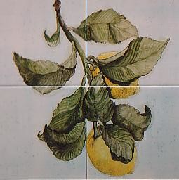 Painting titled "citrons" by Ghyslaine De Sevlian, Original Artwork, Oil