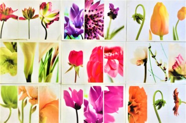 Fotografie getiteld "Flower palette" door Giart, Origineel Kunstwerk, Digitale fotografie