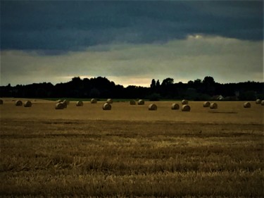 Photographie intitulée "Field" par Giart, Œuvre d'art originale, Photographie numérique