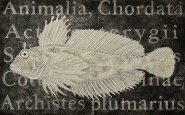 Pintura intitulada "Taxonomic fish" por Gian Luigi Delpin, Obras de arte originais, Acrílico Montado em Armação em madeira