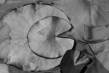 Fotografia intitolato "foglie di ninfea n.2" da Giancarlo Biscardi, Opera d'arte originale, Fotografia digitale