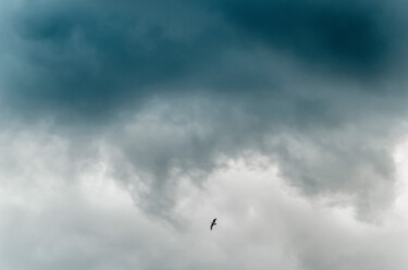 Photographie intitulée "gabbiano e nuvole" par Giancarlo Biscardi, Œuvre d'art originale, Photographie numérique