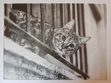 Disegno intitolato "gatto al balcone" da Giancarlo Foschi, Opera d'arte originale, Matita