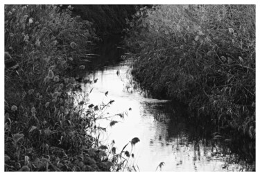 Fotografia zatytułowany „Little river” autorstwa Gianluca Frasconi, Oryginalna praca, Fotografia cyfrowa