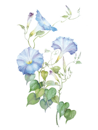 Картина под названием "Ipomea azzurro cielo" - Gianna Tuninetti Lady Of Watercolors, Подлинное произведение искусства, Аквар…