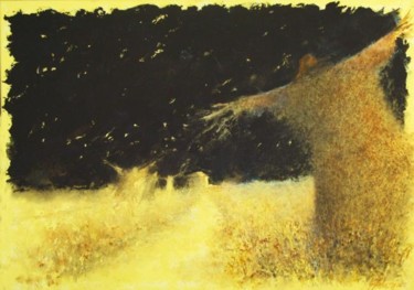 Pittura intitolato "Volando verso casa" da Gianni Pedrazzi, Opera d'arte originale