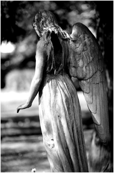 Photography titled "Fallen Angel" by Giedre Madsen, Original Artwork, Digital Photography