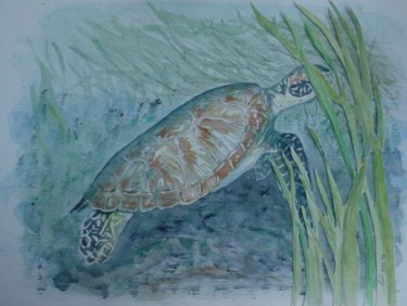 Peinture intitulée "tortue cachee.COLLA…" par Gigi, Œuvre d'art originale