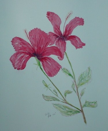 Peinture intitulée "simples hibiscus" par Gigi, Œuvre d'art originale