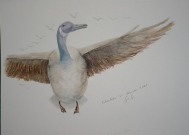 Peinture intitulée "canadian-goose.jpg" par Gigi, Œuvre d'art originale