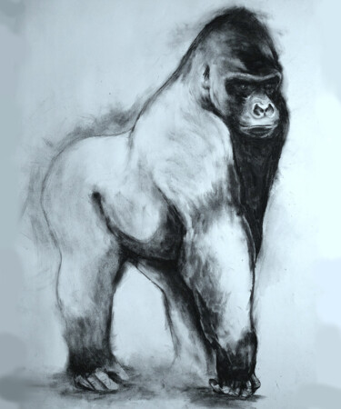 Zeichnungen mit dem Titel "Gorille 1" von Gil Aline, Original-Kunstwerk, Kohle