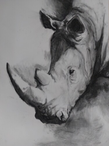 Drawing titled "Rhinocéros 1" by Gil Aline, Original Artwork, Charcoal